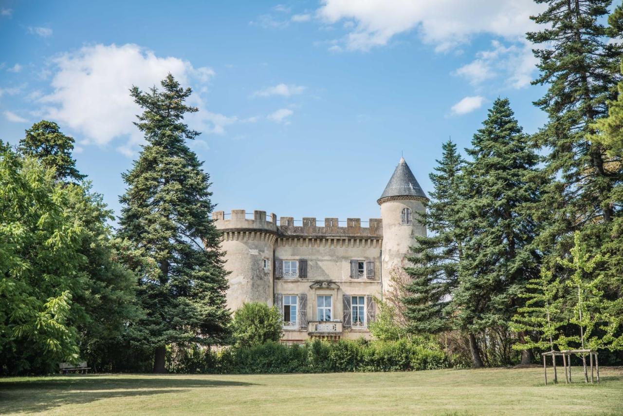 Chateau Emile Loubet - Appartement Marechal Foch La Begude-de-Mazenc Bagian luar foto
